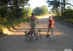 Детство щенячье