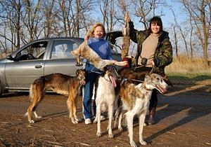 Псовая охота и испытания в Волгоградской области.